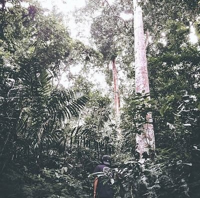 ig @bukan_don