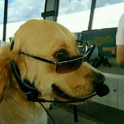 kugulal11's profile picture. AirTrafficController... Mınıstry of Culture Artist.
Wood carver..ŞİKE ŞEREFSİZLİKTİR..
Fauna, Flora, FLORYA.....💛❤️....