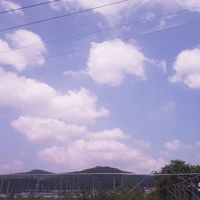 sabam_is_free's profile picture. 성인/여자/각종 계정 통합 사담계/판소계(read_blossoms_)/벨소계(my_s_apple_pie2)/ 사과꽃, 아루