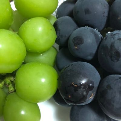 kamiawa0905's profile picture. モラ夫（40） に対する日々のモヤモヤを発散する場所と忘備録。 モンスター飼ってます。なかなかのモンスターです。ここで世界に発信しちゃいます。口悪いですけどよろしくお願いします‼︎