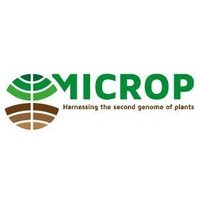 MiCRop - Microbial Imprinting for Crop Resilience(@MiCRop_research) 's Twitter Profile Photo