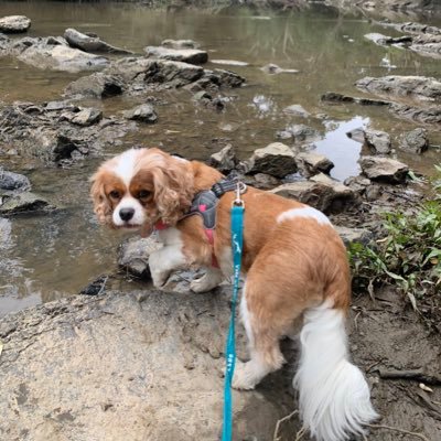 Form2PtyLtd's profile picture. 