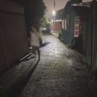 かかお (@leonzz11) 's Twitter Profile