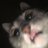 _Smili_s's profile image