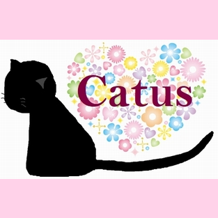 きゅう🐈Catus🐈さんのプロフィール画像