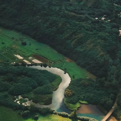 srikanya80's profile picture. Radiation oncologist