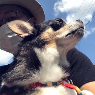 jo_gamba_'s profile picture. 初めまして、大西 潤と申します。 家族、会社、学校等どこでも会話がなくなってきている、コミュニケーション不足という事にチカラにと思い毎日何かを呟き発信しております。どこかで会話のキッカケになれば幸いです。焦らず貢献活動。