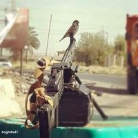 عماد (@ajhrnwyioffcuip) 's Twitter Profile Photo