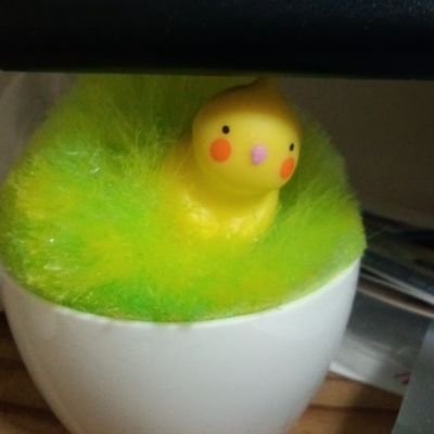 2IUaXm1fI2RWjBu's profile picture. いろいろ作ったり、本読んだり、