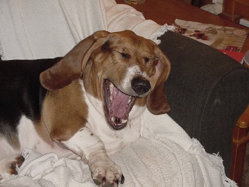 SaDbAsSeThOuNd's profile picture. 