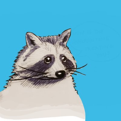 Hart Bandit - Raccoon Comics