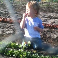 Kyle Lee McKnight (@cookinwitnobody) 's Twitter Profile
