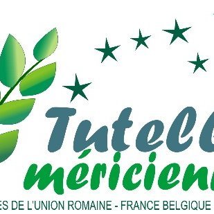 Délégué de tutelle Méricienne