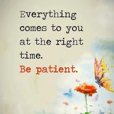 TracyWo02415208's profile picture. 