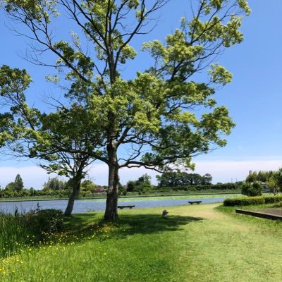 uoqpe8's profile picture. 