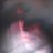 Hallick's profile image