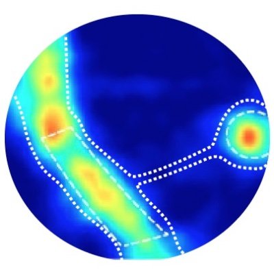 Cortical function & development at single spine level. Learning rules in health & disease. Account run by lab staff. Mammutidae: @ArayAlab@fediscience.org