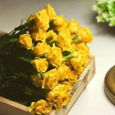 m0otram's profile picture. المآضي مآٺ ، ۈالقآدم قد كُتِب ، ۈالذي رحل لن يعود ، فقط ابتسم ۈقل الحمدللهَ ..♡