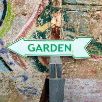 Berliner Gartengeschichten🍀 (@garten_berlin) 's Twitter Profile Photo Berliner Gartengeschichten🍀 (@garten_berlin) 's Twitter Profile Photo