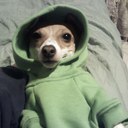 Joy Bernstein - @Oodlesofjoy - Twitter