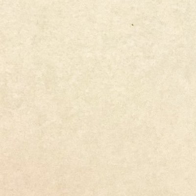 戌亥さんのプロフィール画像