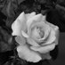 박주 (@baksoo123) Twitter profile photo 박주 (@baksoo123) Twitter profile photo