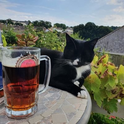 semtech1's profile picture. 