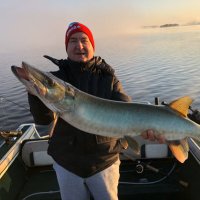 Erwin Oechslin (@eoechslin) 's Twitter Profile