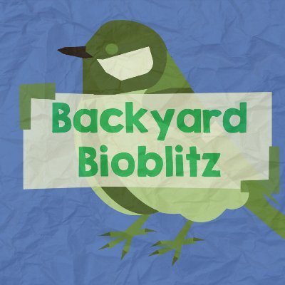 #BackyardBioblitz organises wildlife surveys you can do from home. Our next BioBlitz is in June 2022