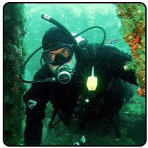 Quantitative Biologist doing Natural Resource Informatics. Associate Professor in the School of the Environment at Washington State University.