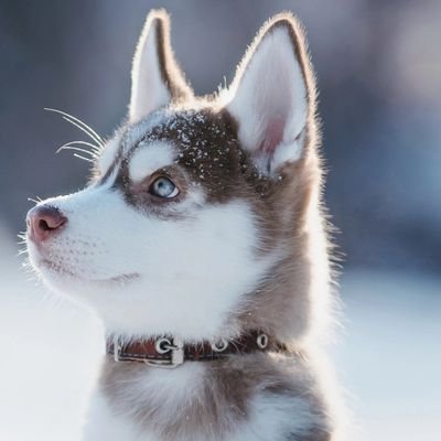 know_Yourvalue's profile picture. https://t.co/G5sa9cXWnn