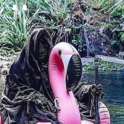 Pinksock13's profile picture. 