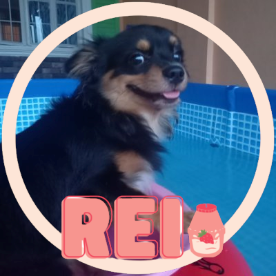 australmae's profile picture. 𝔉𝔞𝔦𝔯𝔶𝔱𝔞𝔩𝔢𝔰 𝔞𝔯𝔢 𝔱𝔯𝔲𝔢 𝔦𝔫 𝔱𝔥𝔢𝔦𝔯 𝔬𝔴𝔫 𝔴𝔬𝔯𝔩𝔡. 𝔄𝔫𝔡 𝔱𝔥𝔢 𝔴𝔬𝔯𝔩𝔡 ℑ'𝔪 𝔩𝔦𝔳𝔦𝔫𝔤 𝔦𝔫 𝔦𝔰𝔫'𝔱 𝔪𝔞𝔨𝔢-𝔟𝔢𝔩𝔦𝔢𝔳𝔢.