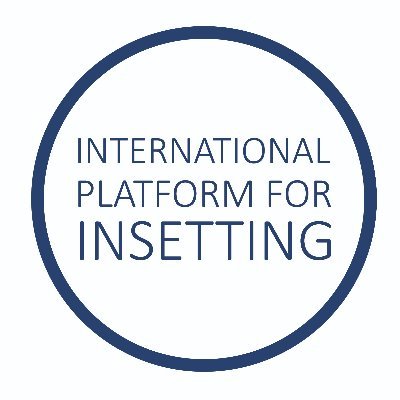 IPInsetting Profile Picture