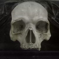 TheGothLord (@therealgothlord) 's Twitter Profile Photo TheGothLord (@therealgothlord) 's Twitter Profile Photo