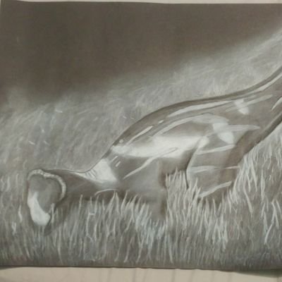 DrayReign's profile picture. LCHS '21