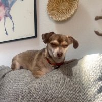 Carla (@2shealucky2) 's Twitter Profile