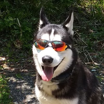 _TheCodemeister's profile picture. Avid Gamer and outdoor enthusiast