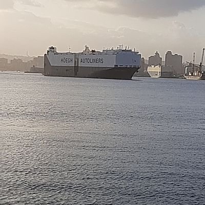 Albert70354838's profile picture. Jah love made me