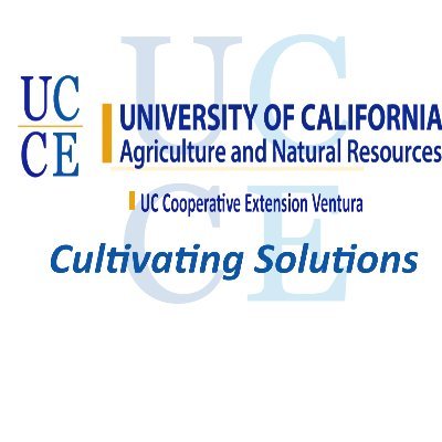 Helping #VenturaCounty grow since 1914. We bring UC research to the #805. #AG #4H #MasterGardeners #NaturalResources #HAREC #UCCE @UCANR