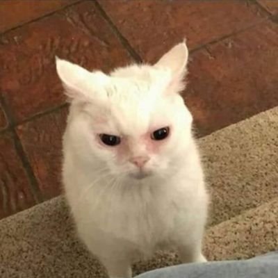 leopoldo69420's profile picture. 