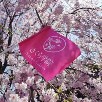 SakuraGakuin12 (@sakuragakuin12) 's Twitter Profile