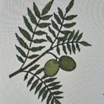 Walnut Acres Project (@acreswalnut) 's Twitter Profile