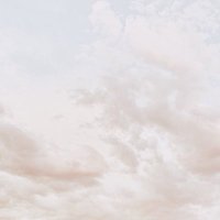 a r a b e l l a (@yanomasmiamor) 's Twitter Profile
