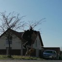 Samuel Daoud - @OhnivaP - Twitter