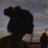 carllisse's profile image