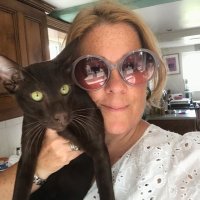 sue watson (@cadpigbluecart) 's Twitter Profile