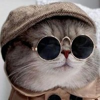 المحتوى حيوانات (@apftma) 's Twitter Profile
