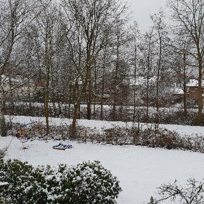 DeryasZulum's profile picture. Nothing