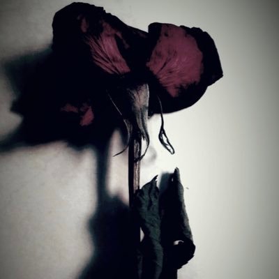 قد يُؤخِرَ ﷲ الجَميلْ لِيَجعَلَهُ أَجْمَل.